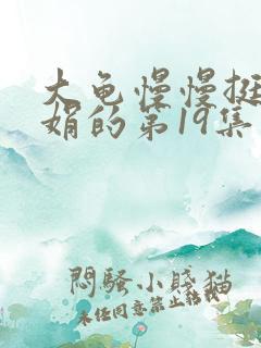 大龟慢慢挺进张娟的第19集