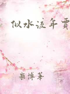 似水流年贾二虎