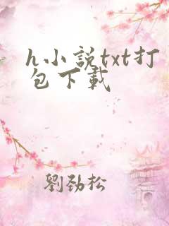 h小说txt打包下载