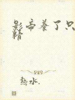 影帝养了只玫瑰精