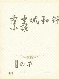 霍云城和舒情的小说