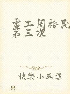 电工周裕民刘芳第三次