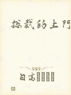 总裁的上门女婿