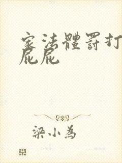 家法体罚打丫鬟屁屁