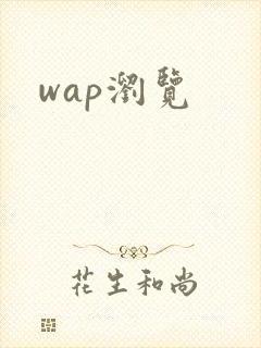 wap浏览