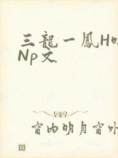 三龙一凤H啪肉Np文