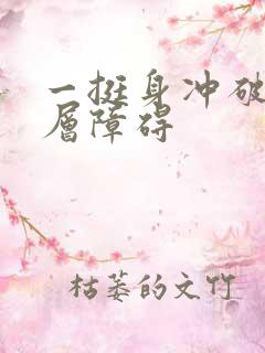 一挺身冲破了那层障碍