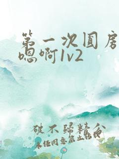 第一次圆房～h嗯啊1v2