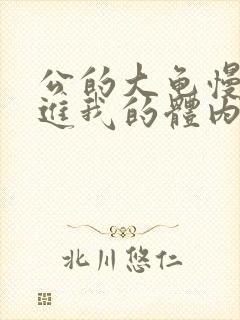 公的大龟慢慢挺进我的体内