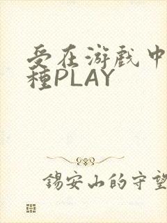 受在游戏中被各种PLAY