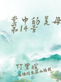 掌中的美母版主第14章