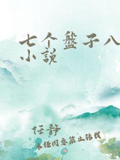 七个盘子八个碗小说