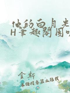 他的白月光HvH笔趣阁团叽叽