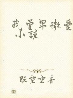 我曾卑微爱过你 小说