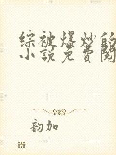 综被爆炒的日常小说免费阅读