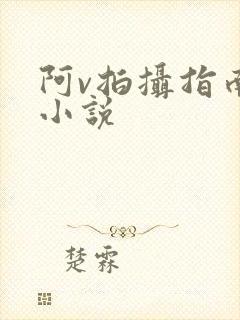 阿v拍摄指南说小说