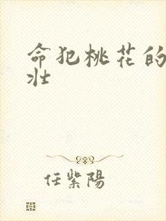 命犯桃花的李大壮