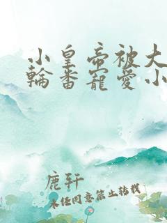 小皇帝被大臣们轮番宠爱小说