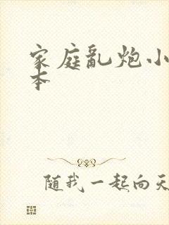 家庭乱炮小说全本