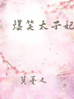 爆笑太子妃