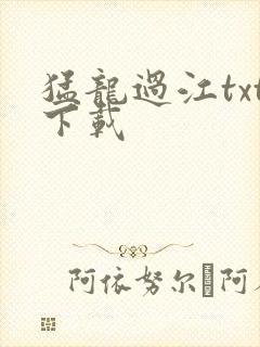 猛龙过江txt下载