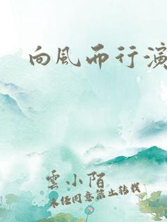 向风而行演员表