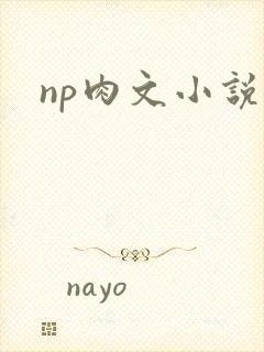 np肉文小说