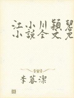 江小川颖儿穿越小说全文免费阅读