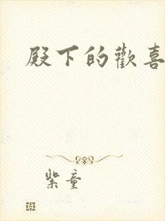 殿下的欢喜冤家