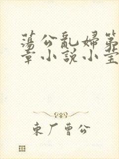 荡公乱妇第51章小说小莹