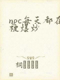 npc每天都在被爆炒