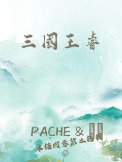 三国王睿
