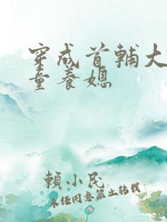 穿成首辅大人的童养媳