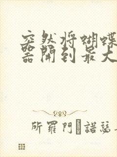 突然将蝴蝶遥控器开到最大