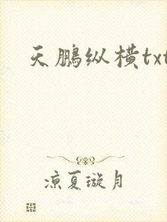 天鹏纵横txt