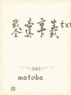 武帝重生txt全集下载