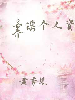 童瑶个人资料简介