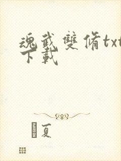 魂武双修txt下载