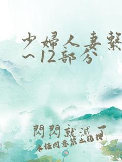 少妇人妻系列1～12部分