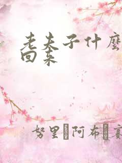 老夫子什么时候回来