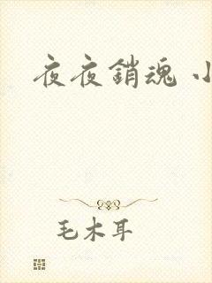 夜夜销魂 小说