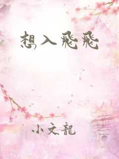 想入飞飞