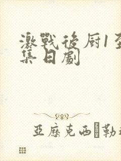 激战后厨1至5集日剧