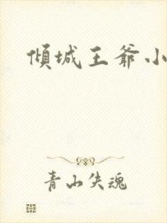 倾城王爷小小妃