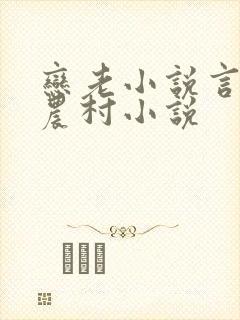 恋老小说言情网农村小说