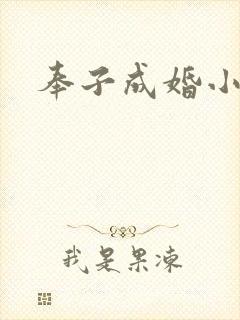 奉子成婚小说