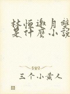 林恒邀月双胞胎是什么小说