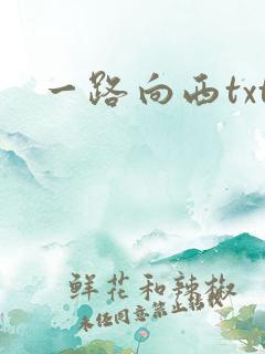 一路向西txt