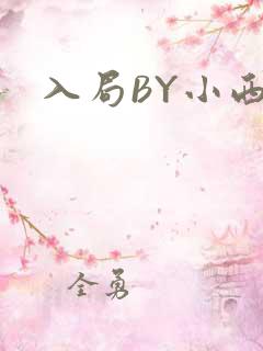 入局BY小西