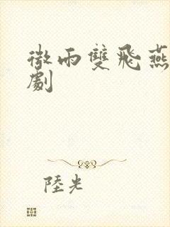 微雨双飞燕电视剧